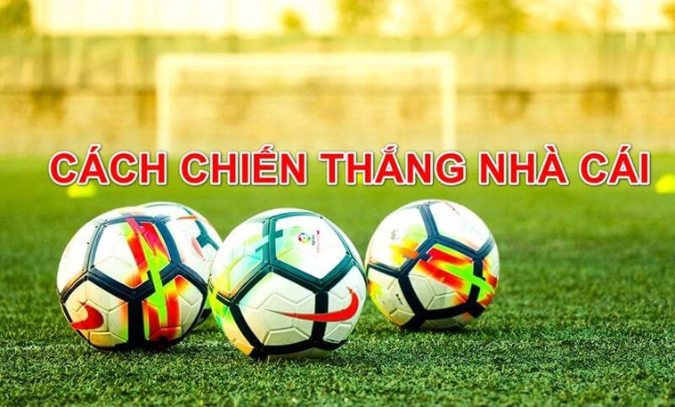Đánh Giá Nhà Cái Bongvip: Sân Chơi Uy Tín & Hấp Dẫn 2 Đánh Giá Nhà Cái Bongvip: Sân Chơi Uy Tín & Hấp Dẫn