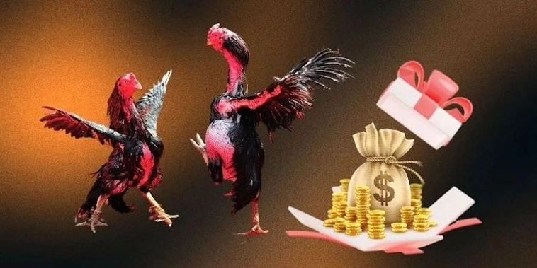 Khuyến Mãi Nhà Cái iBET: Trải Nghiệm Cá Cược Hấp Dẫn 2 Khuyến Mãi Nhà Cái iBET: Trải Nghiệm Cá Cược Hấp Dẫn